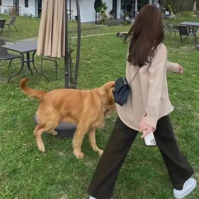 我爷爷我爸爸