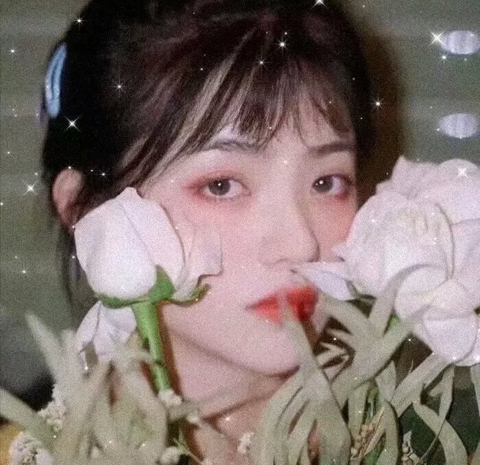 黑艳凤